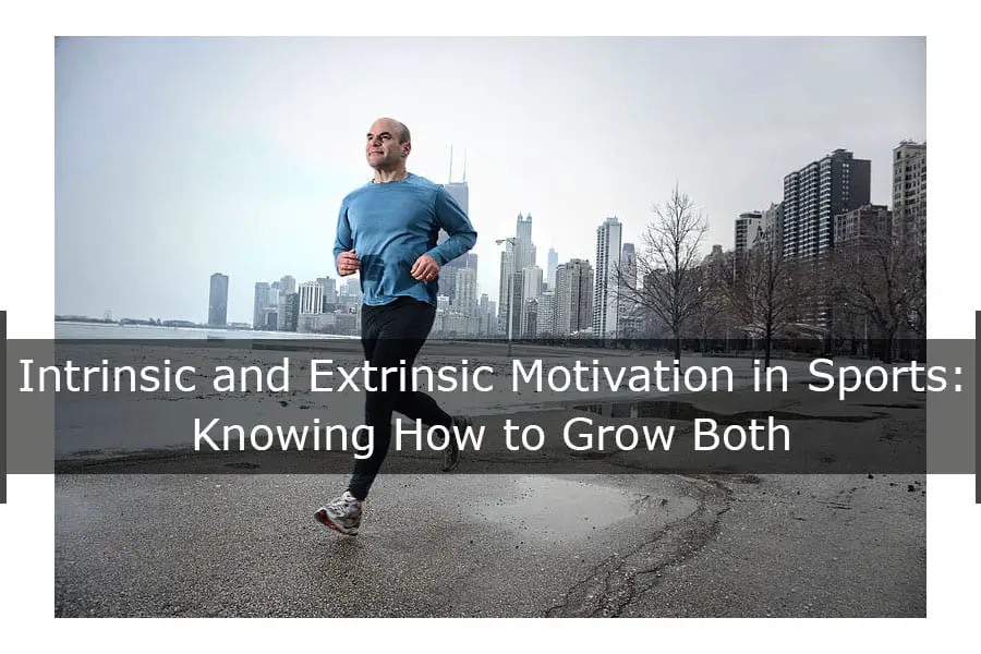 intrinsic and extrinsic motivation